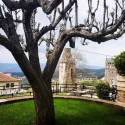 Kruja9.jpg